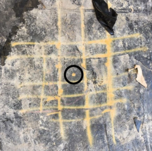 Standard GPR Scan