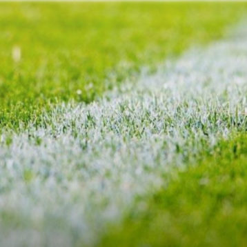 Soccer pitch voids and breached utilities