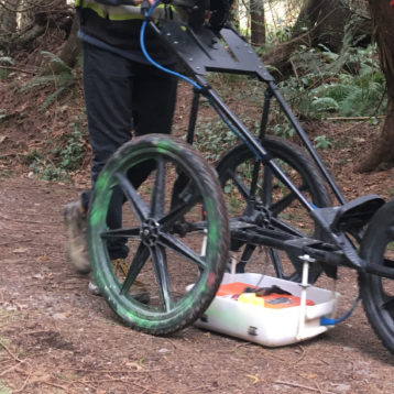 Tree Root Mapping